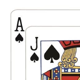 Beginner's Guide to BlackJack (Step by Step) : r/blackjack .